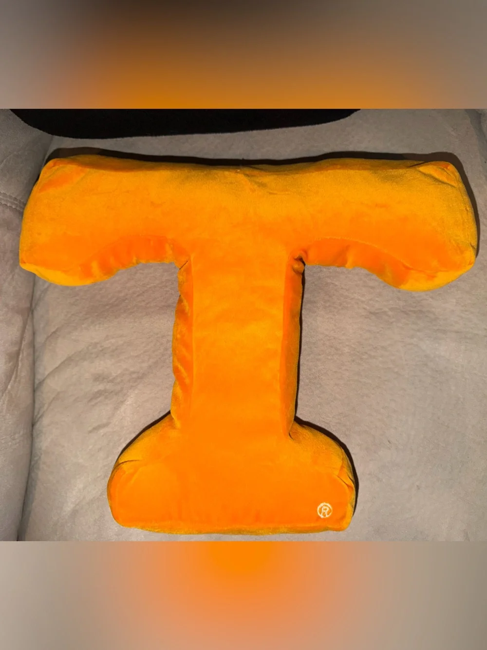 University of Tennessee Pillows